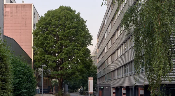 Sanierung und Umnutzung eines 2001 erbauten Gebäudes an der Wangenstrasse 86 in Bern.
